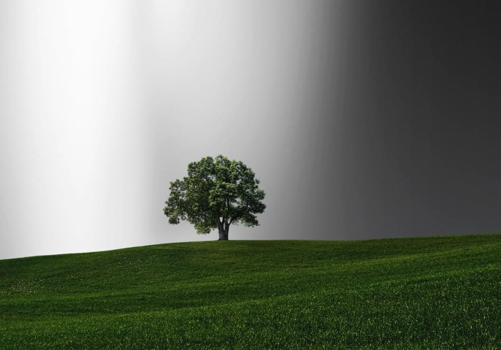 Sophisticated Black Backgrounds image