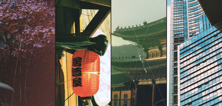 Analog Feel Bundle image