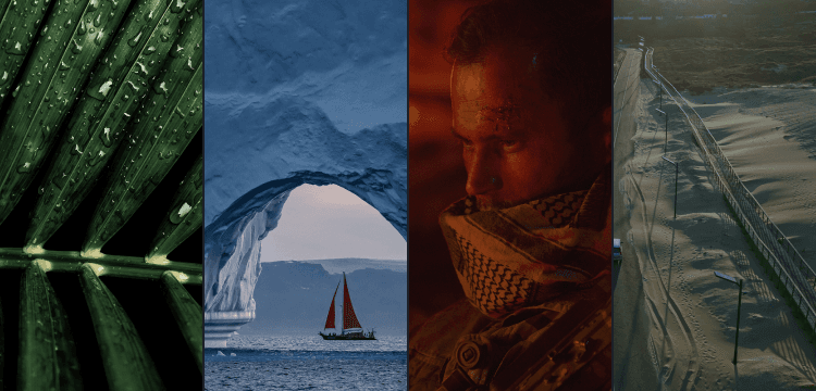 Shade Symphony Bundle image