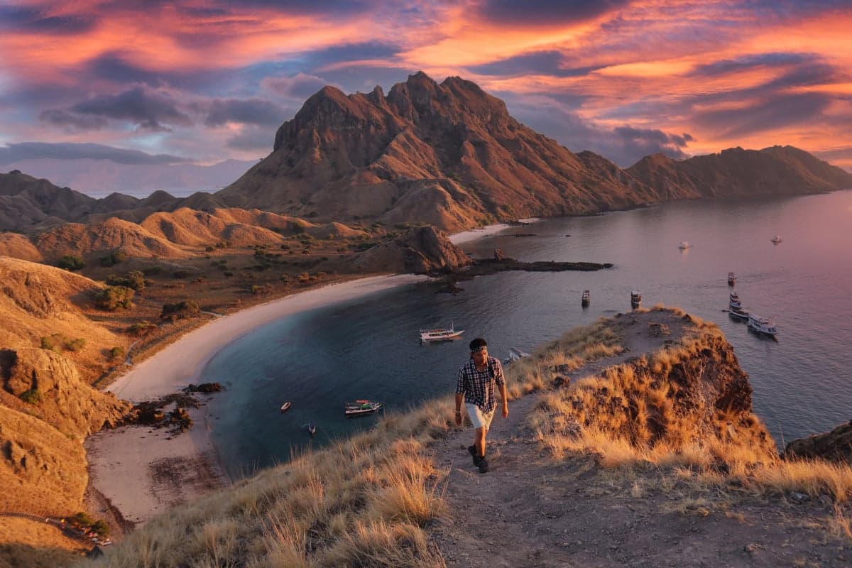 Patagonia Skies image