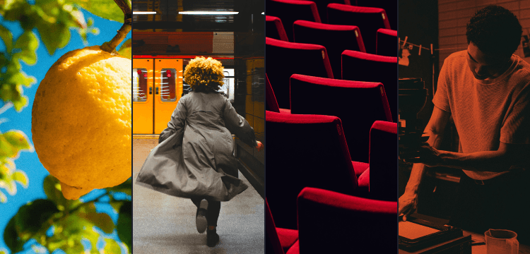 Color Accents Bundle image