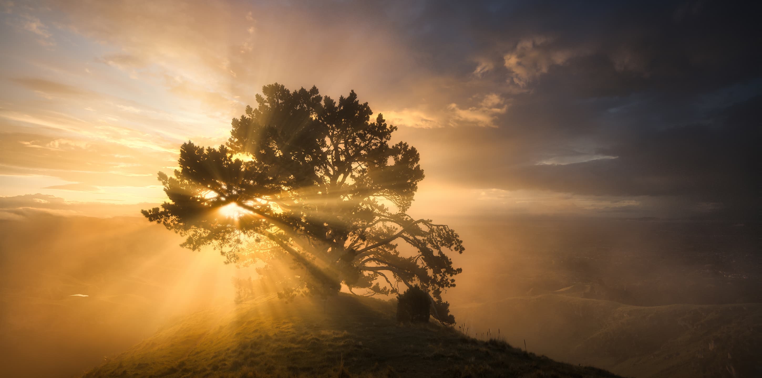 Mastering Luminar Neo: From Fundamentals to Pro-Level Editing image