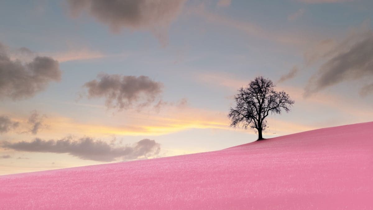 Soulful Panoramas image