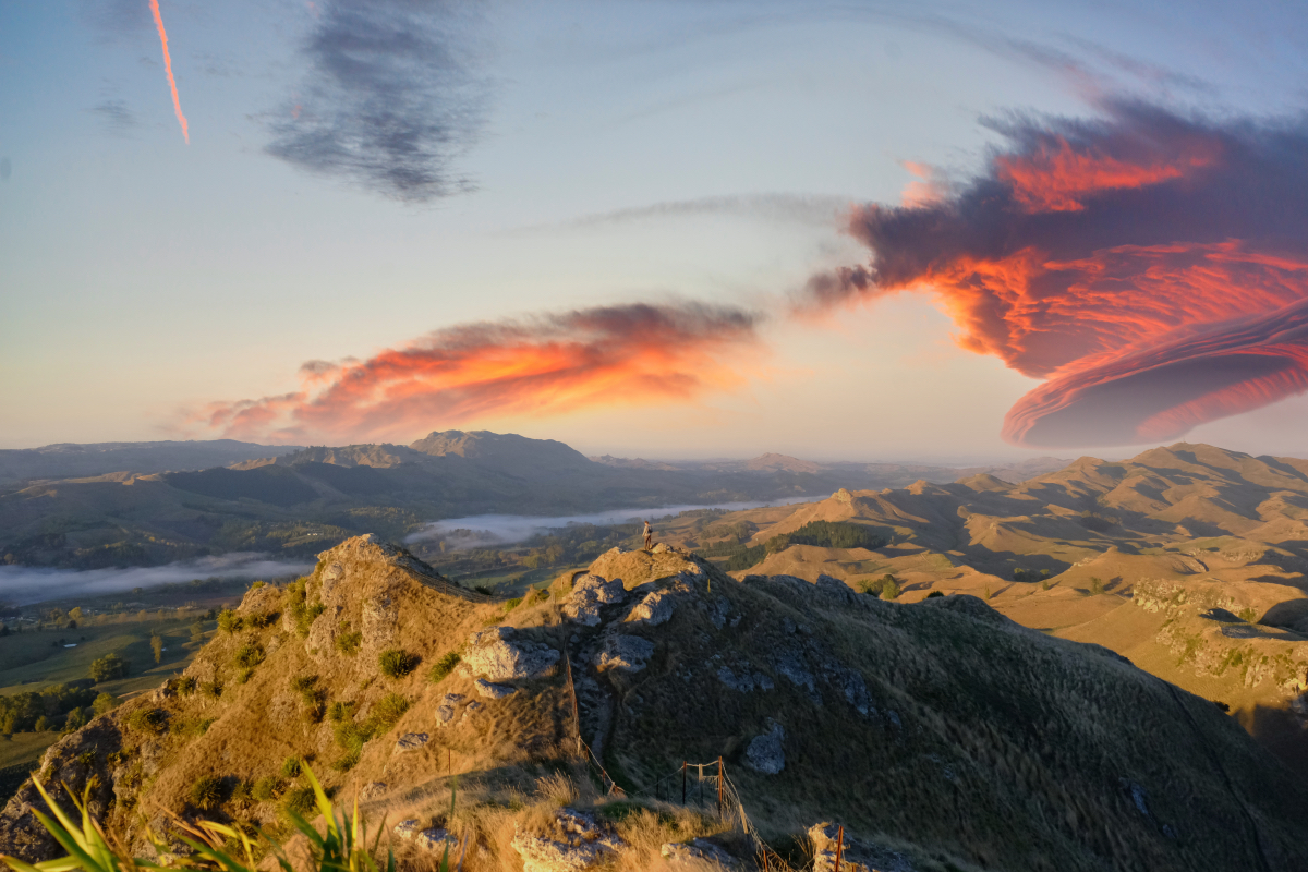 Day of Creation image