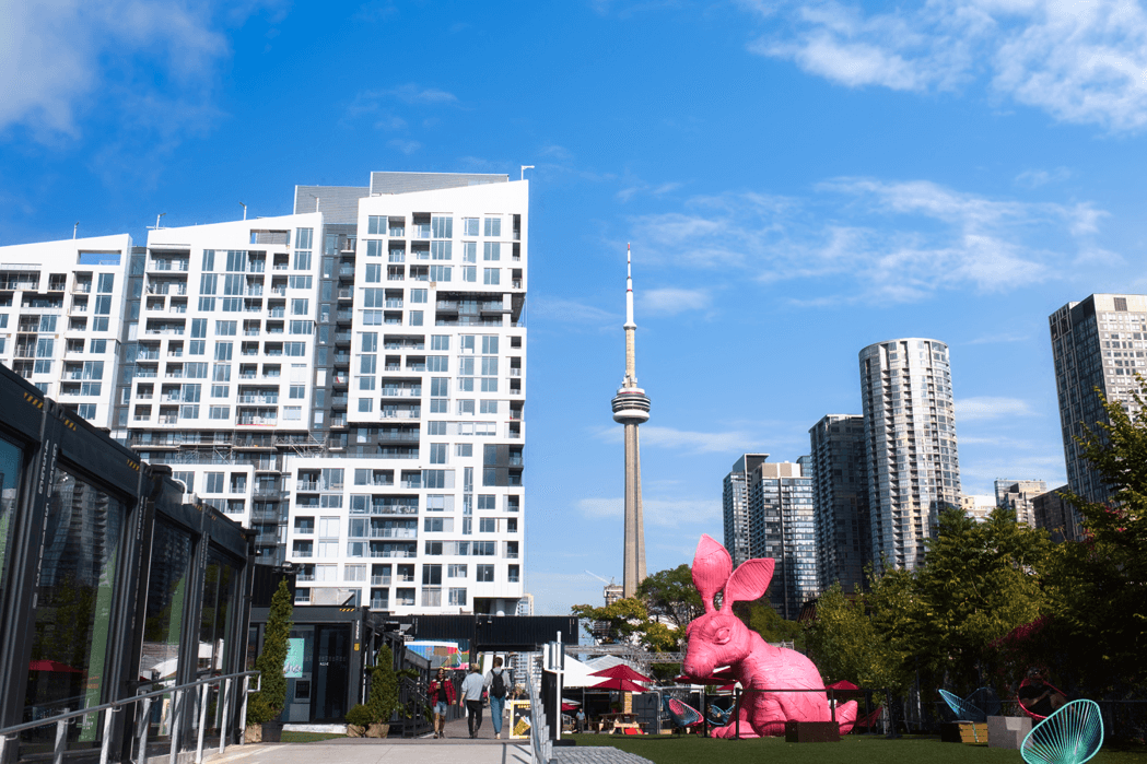 Morning Freshness image