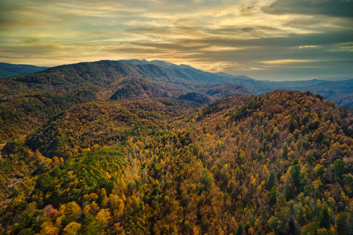 Mystical Twilight image