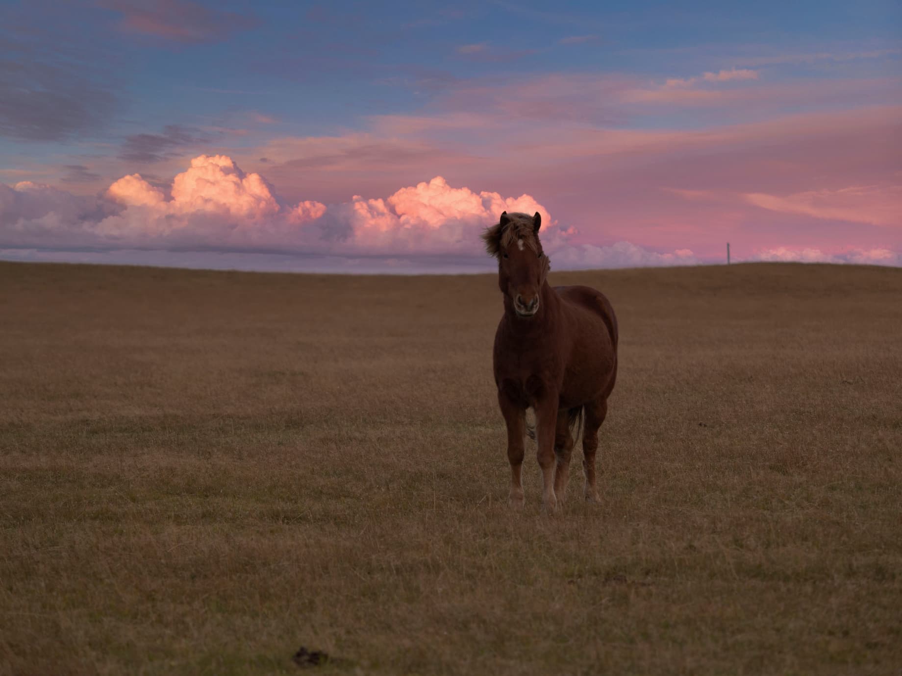 Twilight and Moon Skies image