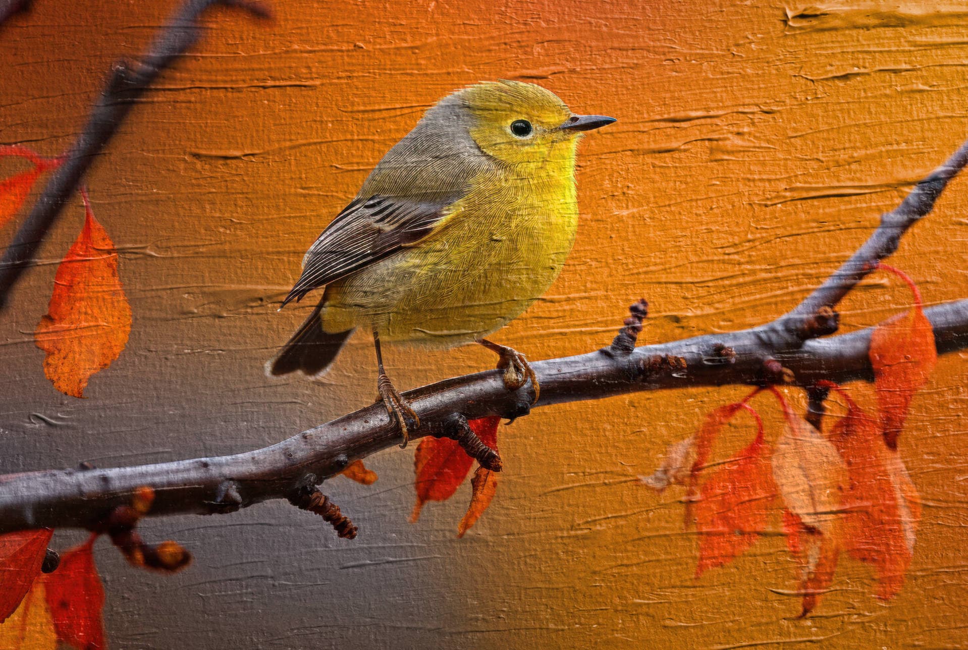 Artist's Surface Textures image