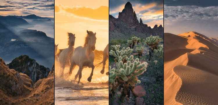 Spectacular Sceneries Bundle image