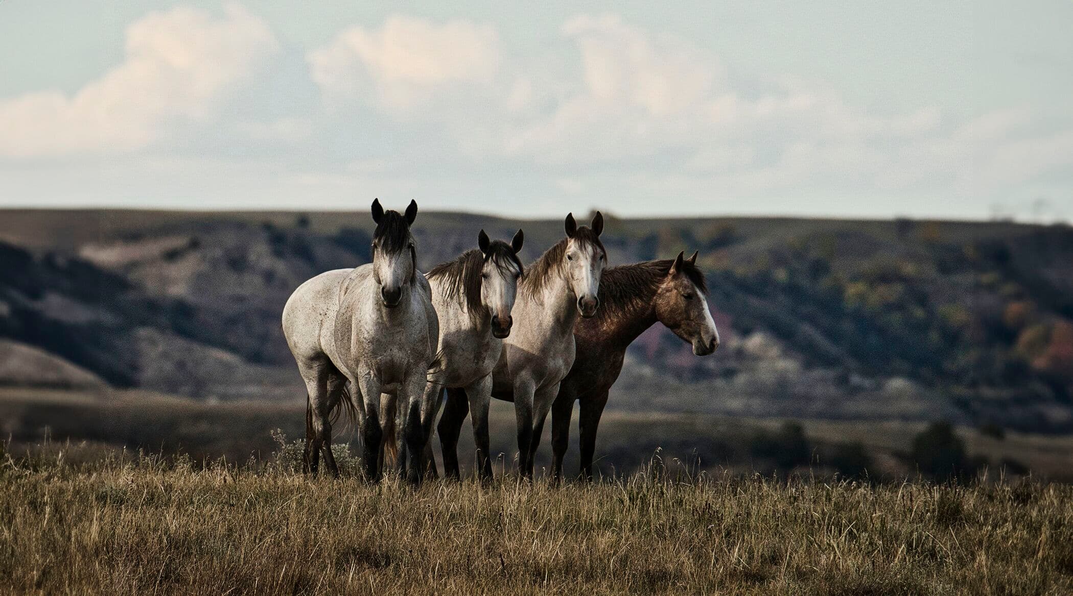 The Ultimate Guide for Beginners in Photo Editing image