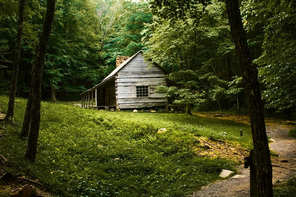 Luminar Neo – The Complete Course image